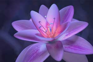 听我说谢谢你 歌曲伴奏MP3+MP4舞台大屏幕LED背景视频