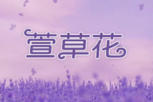 萱草花 歌曲伴奏MP3+MP4舞台大屏幕LED背景视频